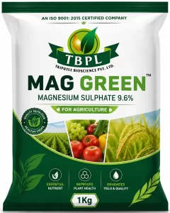 product_11