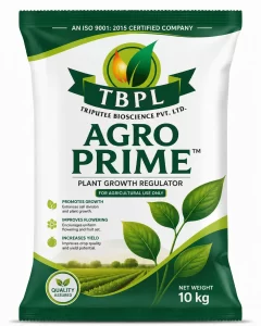 product_18
