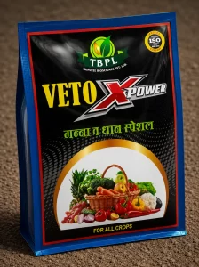 product_19