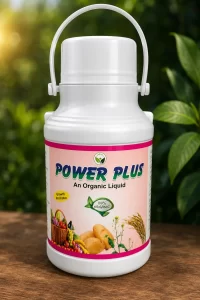 product_7